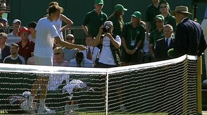 Medvedev throws coins at ump