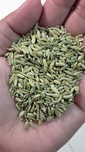 सावधान हो जाये सुबह झाड़ू लगाने वाली महिलायें # शाॅट बीडीओ # भक्ति ज्ञान# 11 मार्च 2026