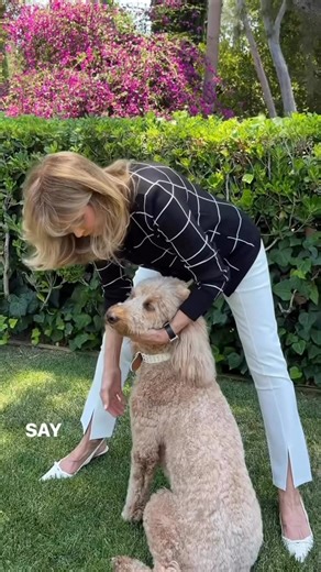 Jaclyn Smith on Instagram: "Our beautiful girl Tilly. Unlike her Mama she is quite camera shy, so capturing this was a special moment for us! Although it takes her awhile to warm up to new faces, once she does - everyone falls in love with her sweet disposition. I’ve felt so blessed to have such precious pets in our home over the years. Tell me about your furry friend 🤍"
