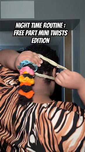 This Routine keeps Free part Mini Twists STRETCHED #minitwist #type4naturalhair #twostrandtwist