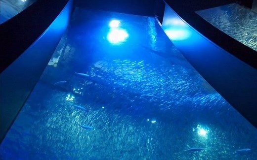 【オルゴール】出せない手紙【V6】