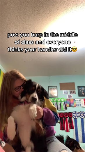 Understanding Service Dogs: Essential Support for All