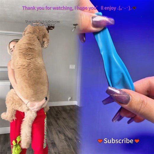 18 can’t wait for santa paws to arrive #dogs #dogsoftiktok