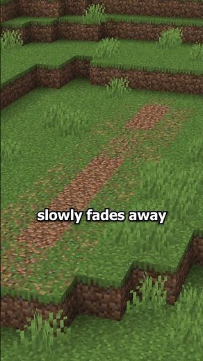 This mod makes paths more immersive #minecraft