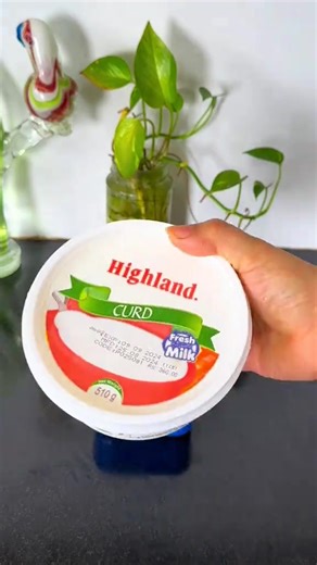 Easy Kids School Snack Box Ideas