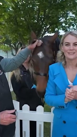 Interview Blooers with animals part 1