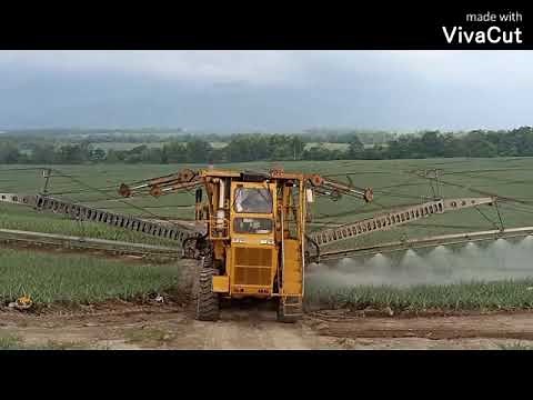 Pineapple Boom Sprayer