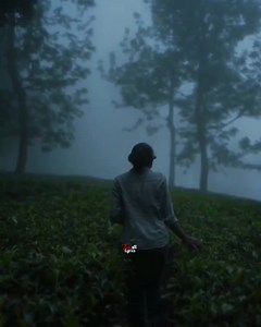 309K views · 10K reactions | Mood Off 鹿 | ꜰᴇᴇʟ ʟ ʏ ʀ ɪ ᴄ ꜱ | Facebook