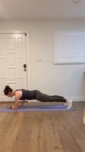 Stackers (High to Low Planks)