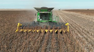 Fantini G03-12-30 Sunflower head being demoed in South Dakota. Available in models from 4 to 18 rows, the G03 easily adapts to any combine. For more information on the Fantini Sunflower or Corn head call us at 701-454-3875. | Fantini North America