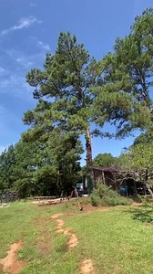 DONT BE A LAME CONTRACT CLIMBER…. A good contract climber should enable a newer tree service to upgrade their earning power not reduce the margins. They should enable more work to get done faster and with distributed liability. If you want to be a contract climber you should be able to add value beyond what an average climber can add. Skills, experience, and equipment are a minimum. If you can teach well, interact well with clients, up-sell on the job and improve the experience of the other empl