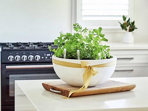 Five Homemade DIY Mother’s Day Gifts  - Bunnings Australia