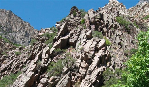 Companies speak out against U.S. Forest Service moving headquarters to Salt Lake City