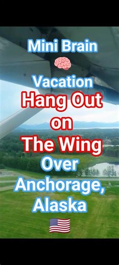 Bird's-eye 👀 View 🛫 Cessna 9 Seater 🌎 Nice to see the world again 🌎 #anchorage #alaska