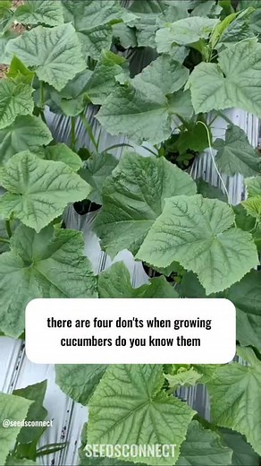 1.3K views · 19 reactions | 1. Straightforward & educational: “For...