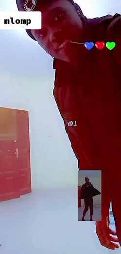 Understanding Police Gesture Communication