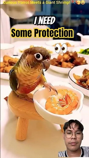 🤣 Cute & Funny Bird Reactions | Credit: AussieWildLaughs #FunnyBirds #BirdReaction #BirdShorts