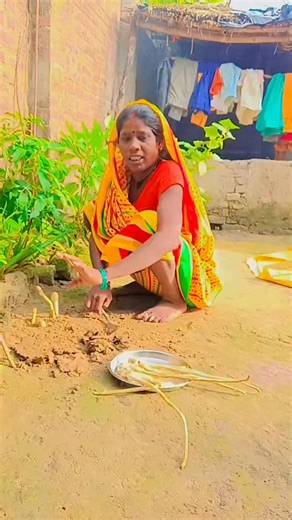 Shanti Devi on Instagram: "#वायरल_वीडियो__पसंद__आया_तो__लाइक__शेयर__कॉमेंट__में__भाई__लिख__कर__फॉलो__जरूर__kr❤️__दियो__भाई"