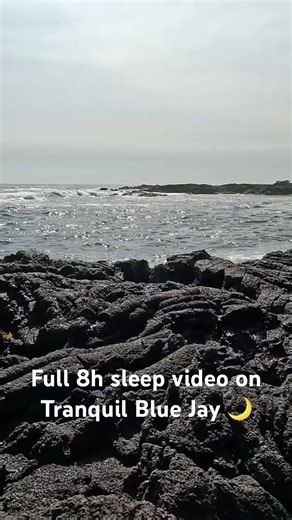 Black sand lava waves 🌊 Big Island Hawaii黒砂ビーチの波🌊ハワイ島