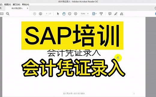 SAP 会计凭证录入 SAP培训系列课程 财务实操培训系列教程