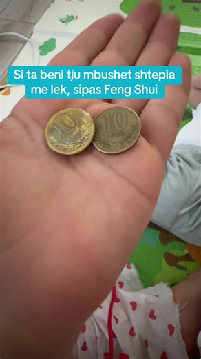 Si ta bëni që shtëpia të mbushet me lek sipas Feng Shui