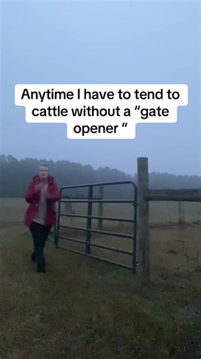 I didn’t birth 5 children for nothing! #gateopener #farmlife #rebamcentire #reba #cattle