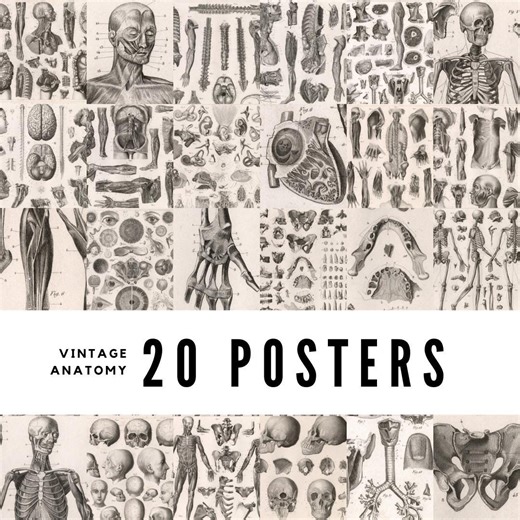 20 Vintage Anatomy Posters: Restored Medical Art Prints (digital Download) - Etsy