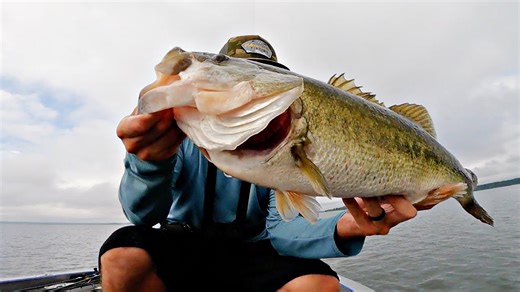 The Logic of Large Lures: Enticing Big Fish