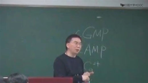 [6.4.1]--感受野的产生机制