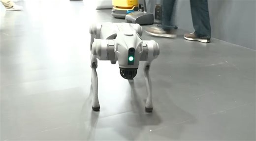 Indian university ousted from AI summit for claiming Chinese robot dog | News.az