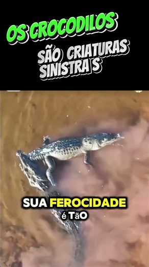 Crocodilo: A Máquina de Matar que Sobreviveu aos Dinossauros