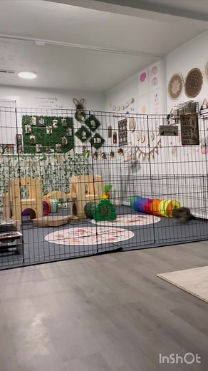 bunnyandmeee on TikTok