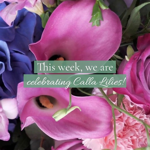 It's competition time! Our 8th floral competition is here and a very special prize is up for grabs this week... Here's how to enter and WIN a Calla Lily Trug for your special someone... Tag them in the comments below and we'll randomly select a winner on Monday 31st October 🎉 Head to our Instagram page for an extra chance to win. Good luck! | Flowercard