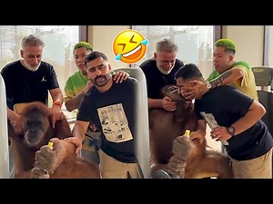 Best Arab Friends Pranks 🤣 Videos #183 – Arabs are Very Funny 😂 | Arabic Humor Hub