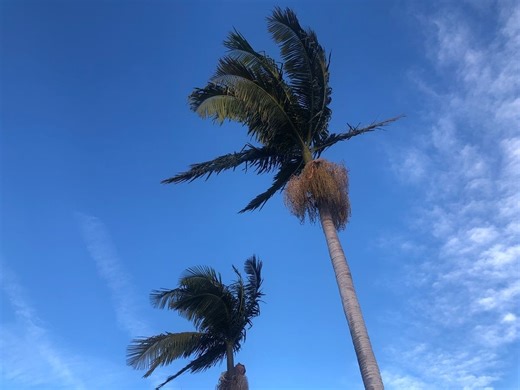 55 MPH Gusts Forecast As Santa Ana Winds Return To Riverside County