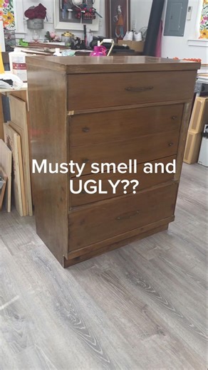 How to Get Rid of MUSTY SMELL in Furniture (Dresser Makeover)