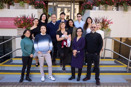 Hotamışlıgil Lab | Department of Molecular Metabolism | HSPH