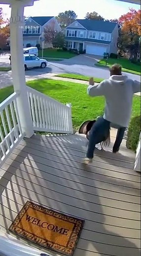 Turkey Chases Man on the Porch! 🦃😂 Funniest Security Footage Ever