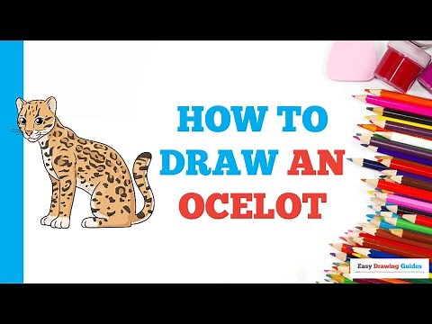 How to Draw an Ocelot: Easy Step by Step Drawing Tutorial for Beginners