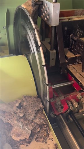 Found something pretty cool in this slab😎 | The Petoskey Stone