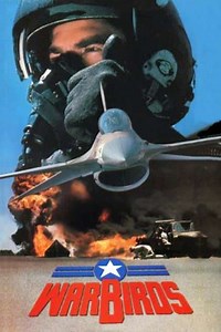 Warbirds - Movie