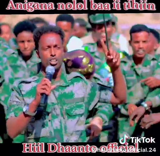 Ciidanka Soomaaliyeed: Kaalintaaga Hawlgallada