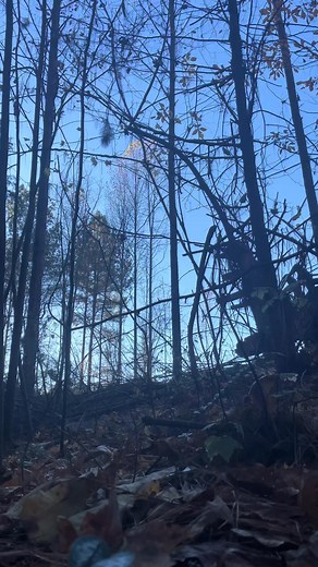 How to pink up Tigercat equipment #logging #tigercat #work #fyp #relatable #canadianlogginghistory #lumberjackheritage #oldloggingcamp #FrontierLife #comedy #tigercat #forestry #life #lifehacks #tips #howto #usa | Jazlyn Smith