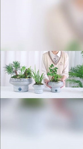 🌿✨ Effortless Plant Care Starts Here! ✨🌿