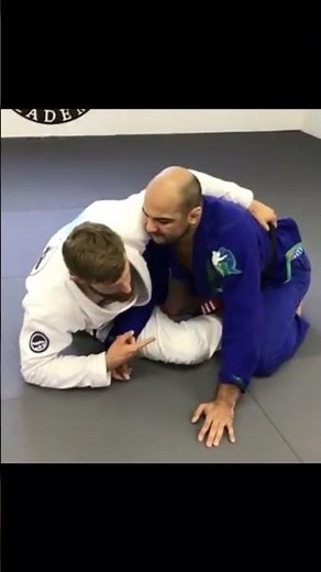 Butterfly Sweep by Adam Wardzinski