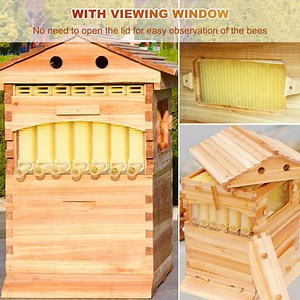 [Hot Item] Bee Hive Honey Flowing Automatic with 7 PCS Frame Starter Kit