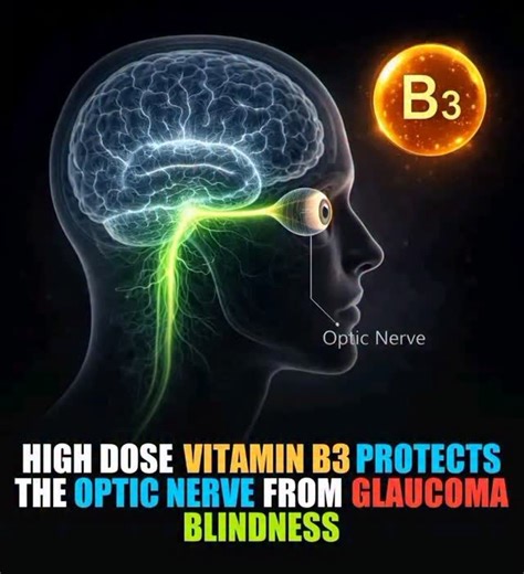 S.C.I.E.N.C.E on Instagram: "Vision loss in glaucoma is increasingly understood as an energy failure within the optic nerve. Clinical findings suggest that Vitamin B3 supports cellular energy production in retinal nerve cells, strengthening them against degeneration. By improving mitochondrial function, this nutrient may help protect vision before irreversible damage occurs. These results point toward metabolic support as an important strategy in preserving eye health."