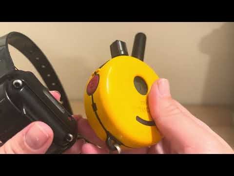 How to turn on your mini educator ecollar
