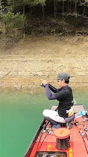Insanely big BASS