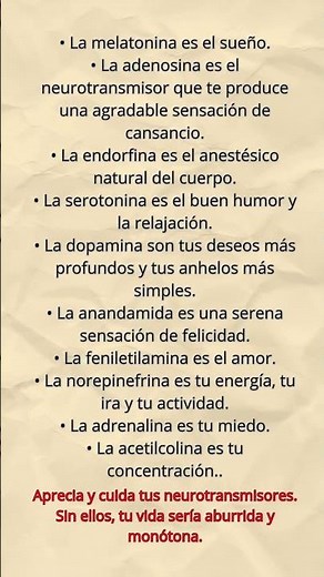 La melatonina es el sueño La adenosina es el neurotransmisor que te produce una agradable sensación
